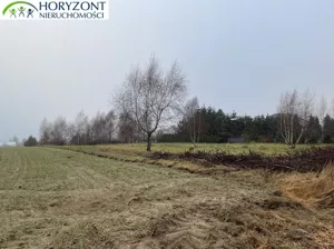 Działka 1 181,00 m², Dobrzewino, Sprzedaż