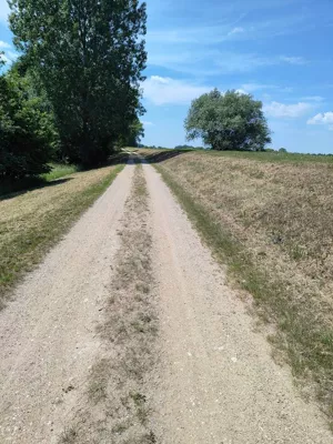 Działka 65 000,00 m², Drążno-Holendry, Sprzedaż