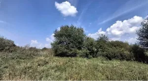 Działka 7 600,00 m², Dziekanów Leśny, Sprzedaż