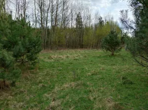 Działka 300,00 m², Gidle, Sprzedaż