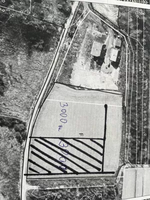 Działka 3 000,00 m², Bachowice, ks. Gołby, Sprzedaż
