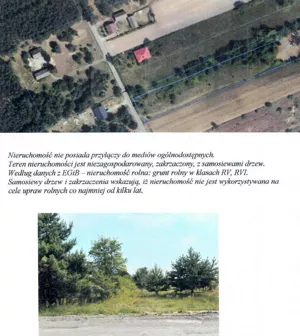 Działka 4 915,00 m², Góry Małe, Sprzedaż