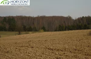 Działka 12 165,00 m², Grabowska Huta, Sprzedaż