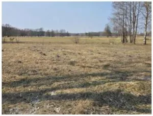Działka 1 320,00 m², Grądzkie, Sprzedaż