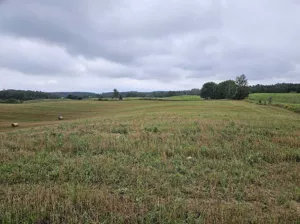 Działka 29 875,00 m², Jora Wielka, Sprzedaż