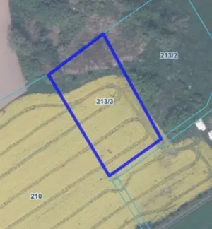 Działka 3 409,00 m², Julianowo, Sprzedaż