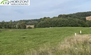 Działka 1 233,00 m², Kczewo, Sprzedaż