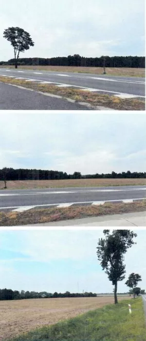 Działka 29 300,00 m², Kisielewo, Sprzedaż