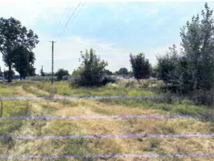 Działka 29 233,00 m², Kisielewo, Sprzedaż