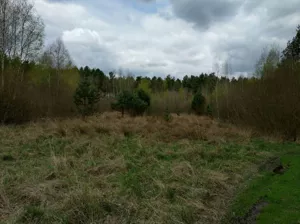 Działka 300,00 m², Koniecpol, Sprzedaż