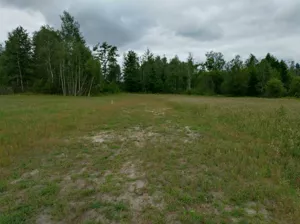 Działka 1 200,00 m², Koniecpol, Sprzedaż