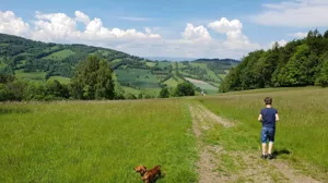 Działka 734 599,99 m², Konradów, Sprzedaż