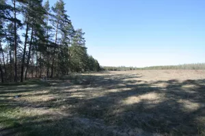 Działka 1 318,00 m², Kopanica, Sprzedaż