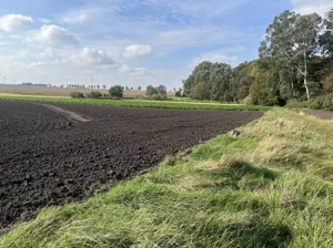 Działka 8 182,00 m², Krusza Zamkowa, Sprzedaż