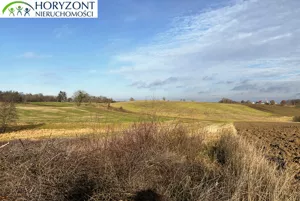 Działka 1 183,00 m², Lisewiec, Sprzedaż