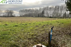 Działka 3 300,00 m², Lisewiec, Sprzedaż
