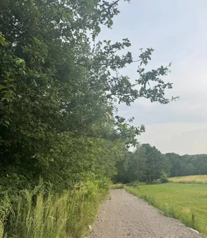Działka 5 000,00 m², Skawina, Mikołaja Kopernika, Sprzedaż