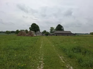 Działka 130 000,00 m², Mogilnica, Sprzedaż