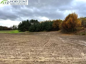 Działka 14 200,00 m², Mściszewice, Sprzedaż