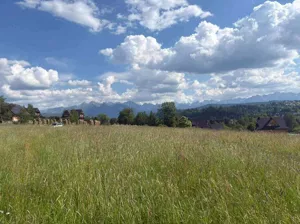 Działka 900,00 m², Czarna Góra, Nadwodnia, Sprzedaż
