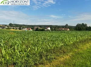 Działka 3 000,00 m², Niestępowo, Sprzedaż