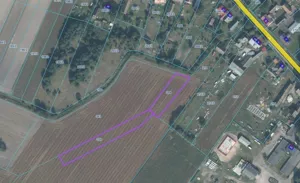 Działka 4 000,00 m², Nowa Wieś, Sprzedaż