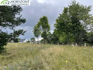 Działka 5 047,00 m², Nowa Wieś Przywidzka, Sprzedaż