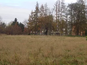 Działka 15 318,00 m², Ochaby Małe, Sprzedaż