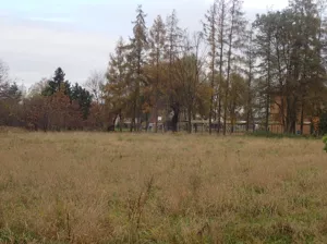 Działka 15 318,00 m², Ochaby Małe, Sprzedaż