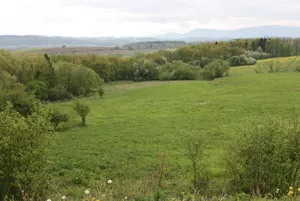 Działka 25 442,00 m², Ogrodzona, Sprzedaż