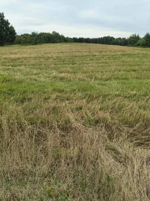 Działka 1 000,00 m², Donimierz, Otalżyńska, Sprzedaż