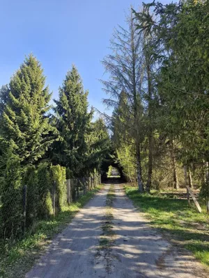 Działka 1 173,00 m², Pasikonie, Sprzedaż