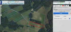 Działka 25 000,00 m², Pilchy, Sprzedaż