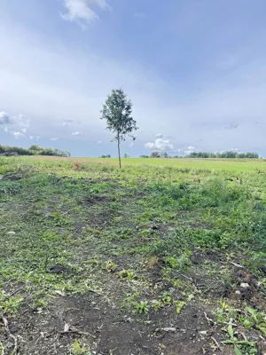 Działka 1 000,00 m², Pokrzywnica, Sprzedaż