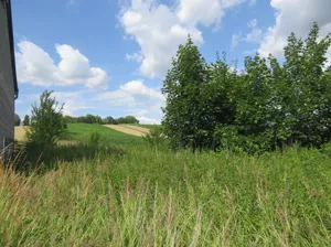 Działka 1 566,00 m², Proszowice, Sprzedaż