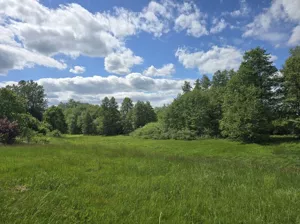 Działka 4 800,00 m², Przystawy, Sprzedaż