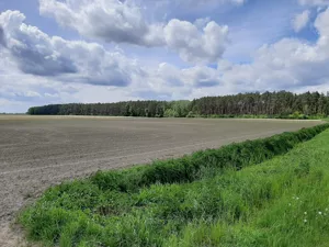 Działka 44 985,00 m², Zduny, Rochowska, Sprzedaż