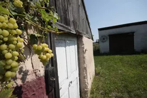 Działka 4 800,00 m², Rudawa, Sprzedaż