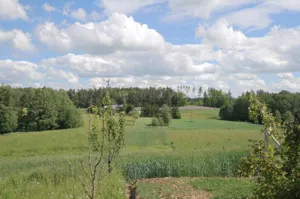 Działka 4 819,00 m², Sadłowina, Sprzedaż