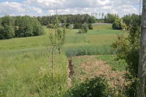 Działka 4 819,00 m², Sadłowina, Sprzedaż
