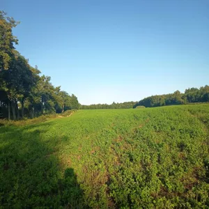 Działka 50 000,00 m², Skowrony, Sprzedaż