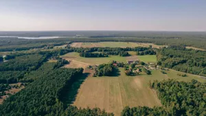 Działka 920,00 m², Skrzynka, Sprzedaż