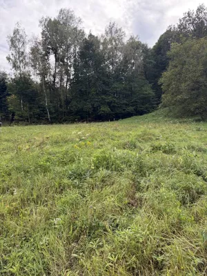 Działka 2 510,00 m², Skrzyszów, Sprzedaż