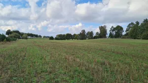 Działka 1 413,80 m², Stary Wiec, Sprzedaż