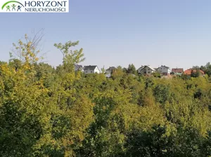 Działka 6 260,00 m², Sulęczyno, Sprzedaż