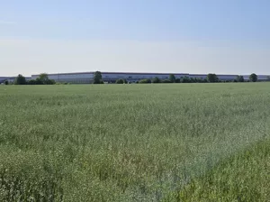 Działka 117 116,00 m², Szamoty, Sprzedaż