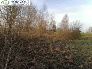 Działka 3 623,00 m², Szarłata, Sprzedaż