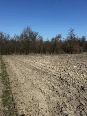 Działka 6 400,00 m², Szczucin, Sprzedaż