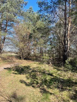 Działka 906,00 m², Białogard, Tadeusza Nalepy, Sprzedaż