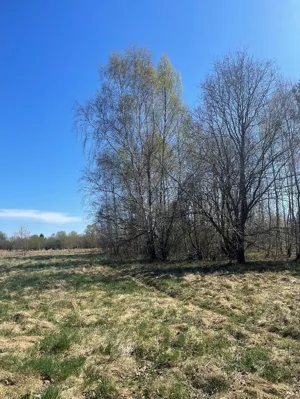 Działka 935,00 m², Białogard, Tadeusza Nalepy, Sprzedaż